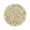 Buy Sunflower Seeds Online